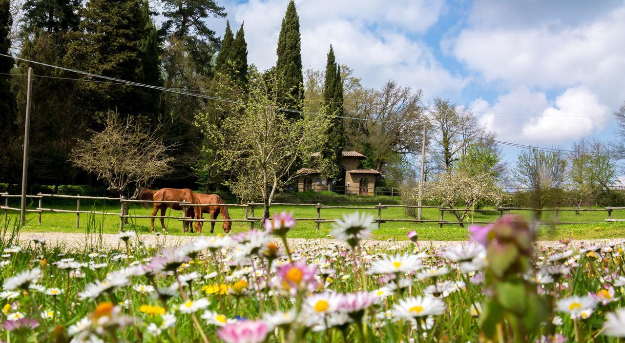 Castello Santa Cristina Villa Grotte di Castro ภายนอก รูปภาพ